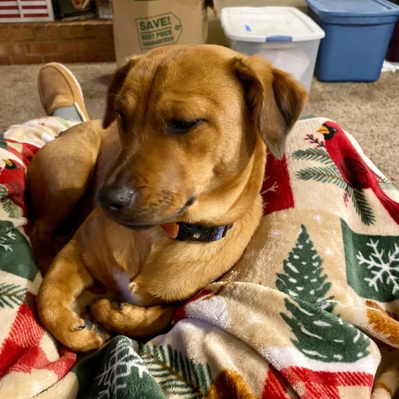 Meet your Posher, Robert - Picture 8 of 12